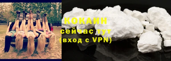 стафф Новозыбков