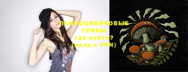 шишки Абдулино