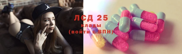 стафф Новозыбков