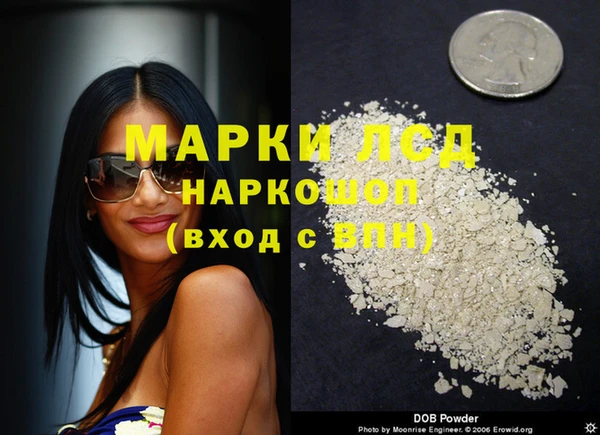 прущие крисы Новодвинск