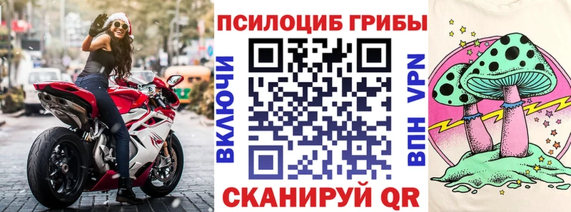Псилоцибиновые грибы GOLDEN TEACHER  где купить наркотик  Краснодар 